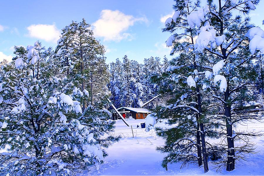 Snow in Flagstaff, AZ Photograph by Bill Mollet Fine Art America