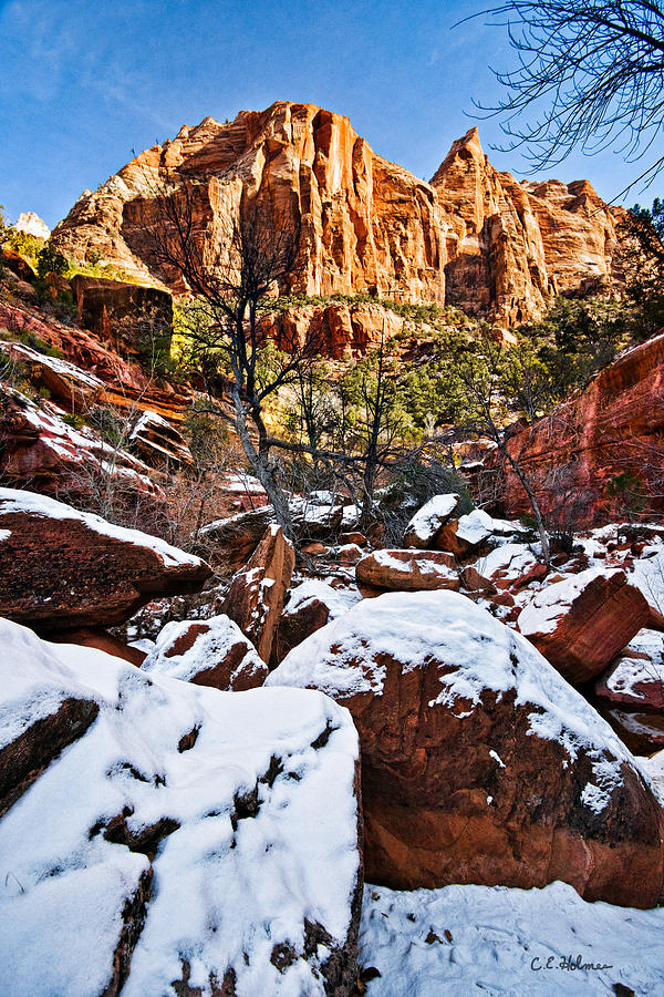 Zion National Park Photograph - Snow In The Canyons by Christopher Holmes