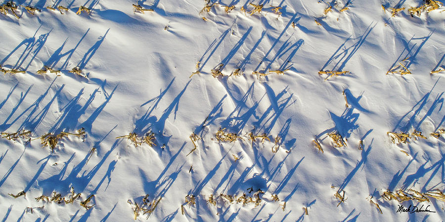 Snow in the Corn Field #5 Photograph by Mark Dahmke