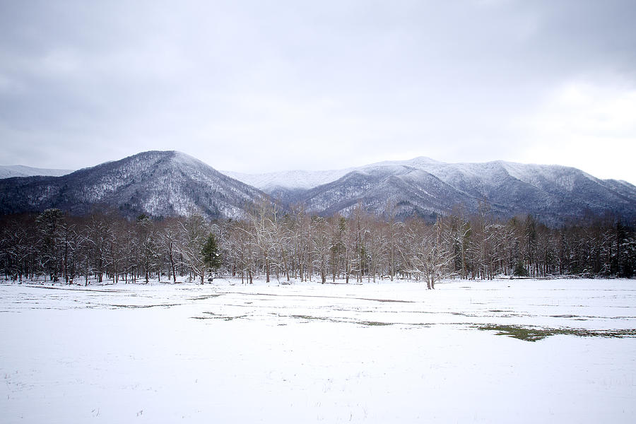 Snow in the Smokies Photograph by Mark Large | Fine Art America