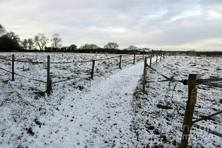 Snow in the Surrey countryside Photograph by Julia Gavin