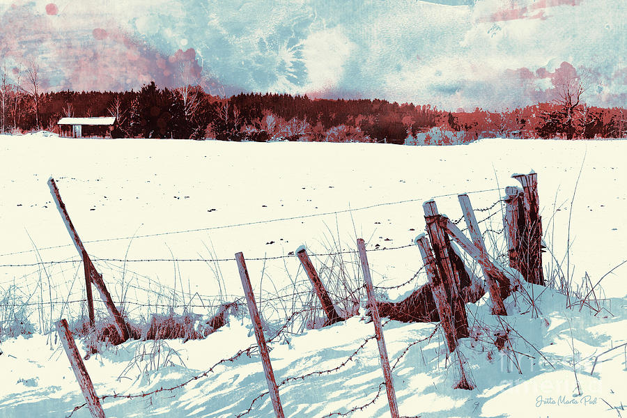 Snow Digital Art by Jutta Maria Pusl