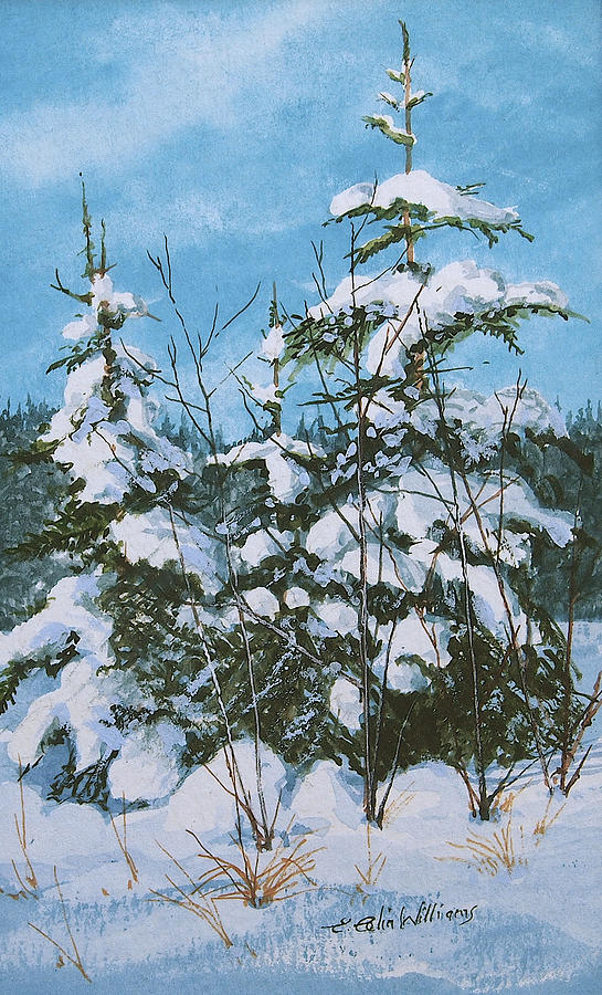 Snow Laden Trees Painting by E Colin Williams ARCA
