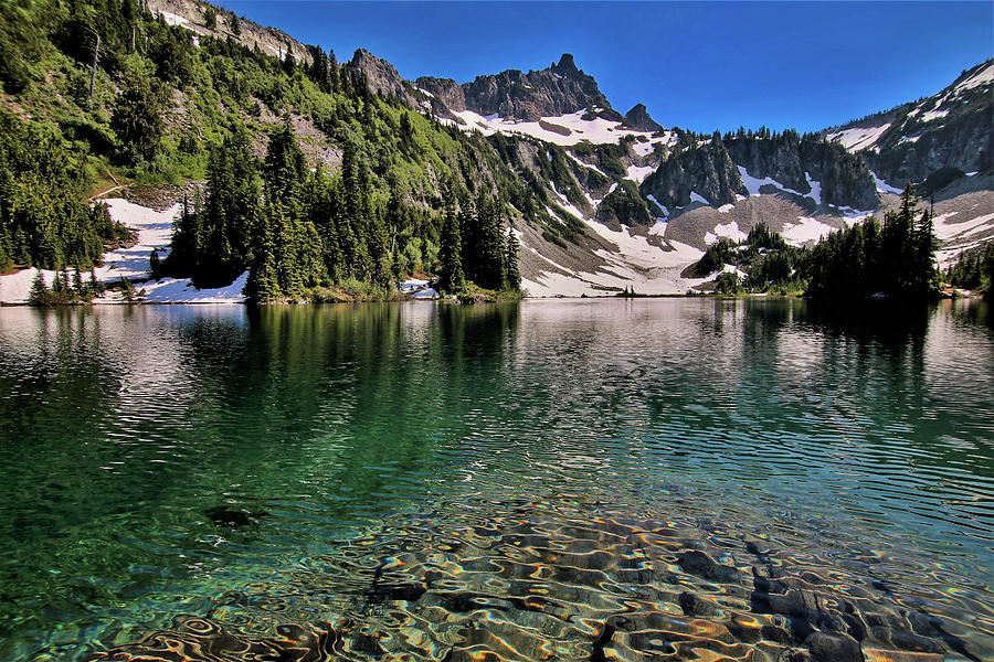 Snow Lake Mount Rainier National Park Photograph By David Thompson