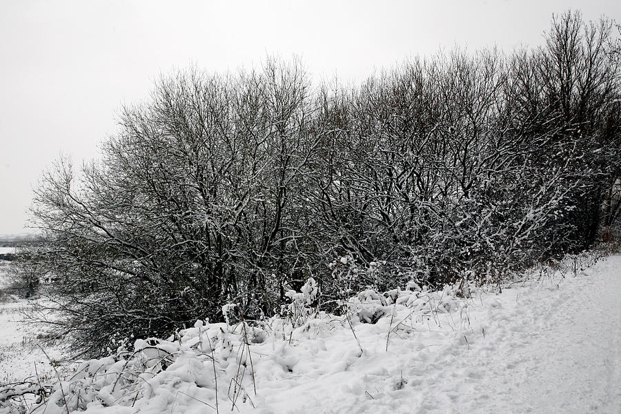 Nature Photograph - Snow Landscape 14 by Jason Moore