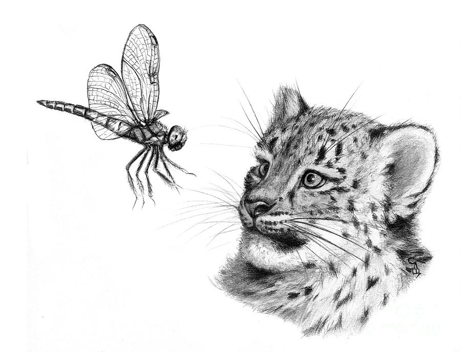 Snow Leoard cub and Dragonfly G148 Drawing by Svetlana Ledneva-Schukina