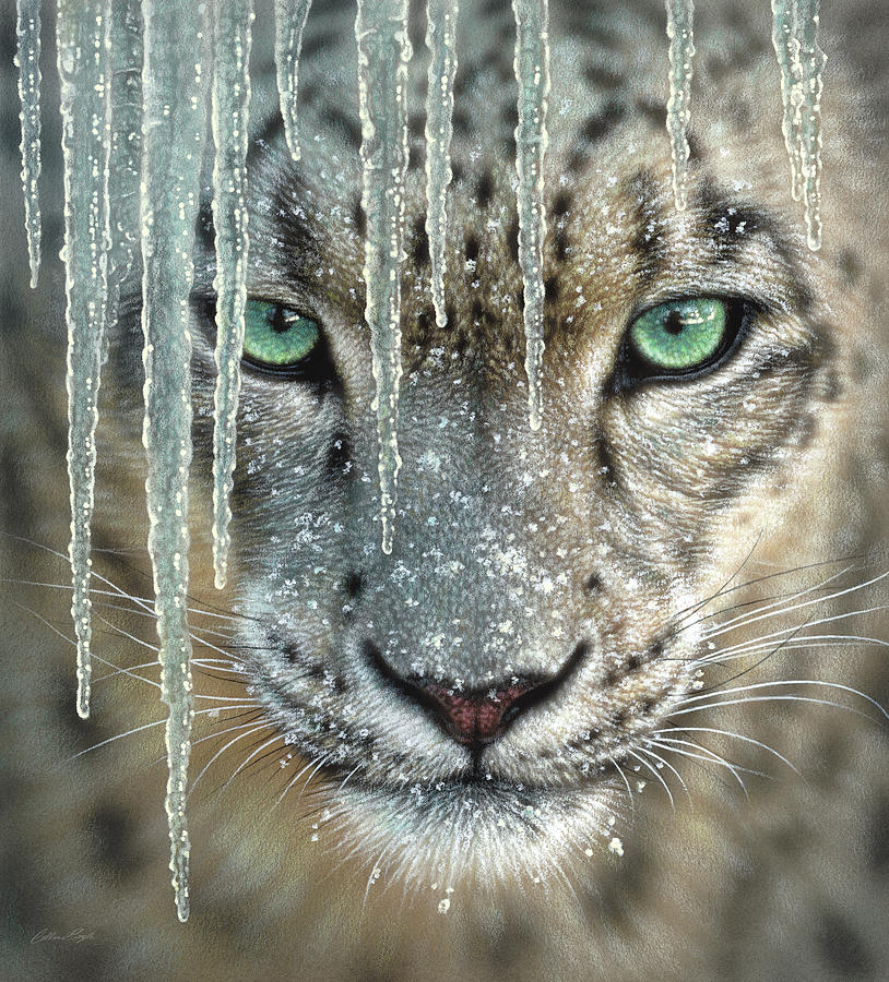 Snow Leopard - Blue Ice Painting by Collin Bogle