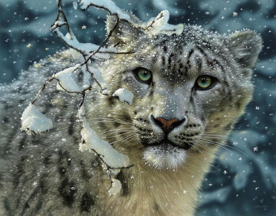 Leopard Painting - Snow Leopard by Collin Bogle