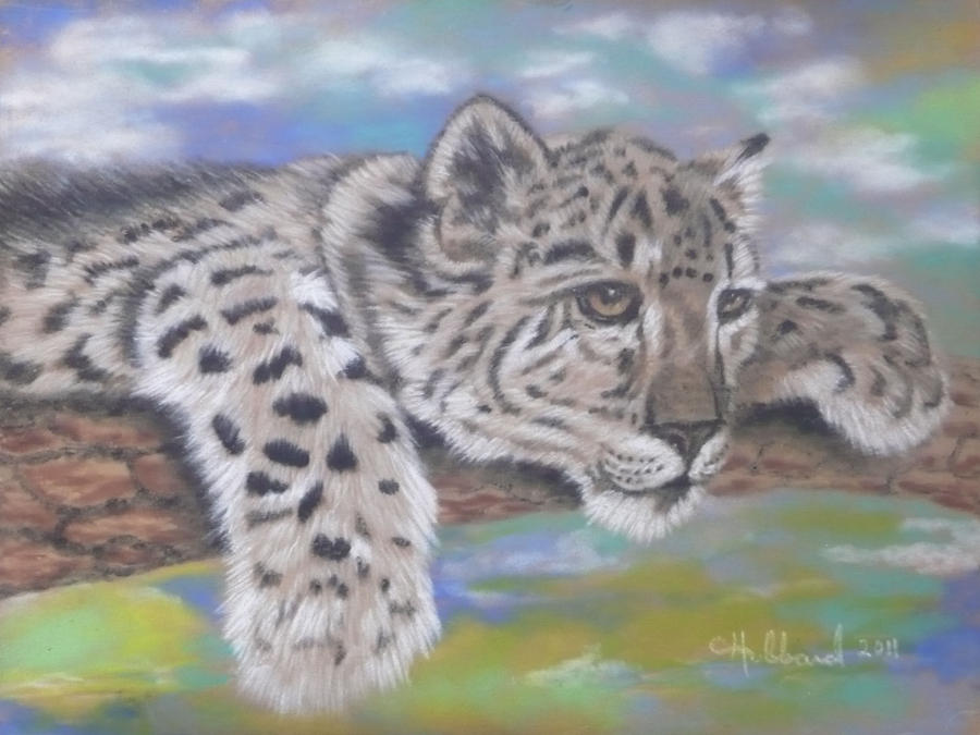 Wildlife Painting - Snow Leopard Cub by Charles Hubbard