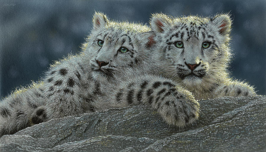 Snow Leopard Cubs Painting by Collin Bogle