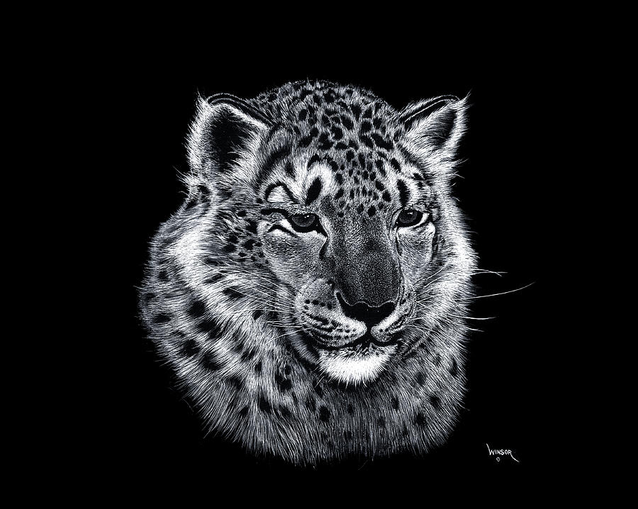 Snow Leopard Painting by Don Winsor - Fine Art America