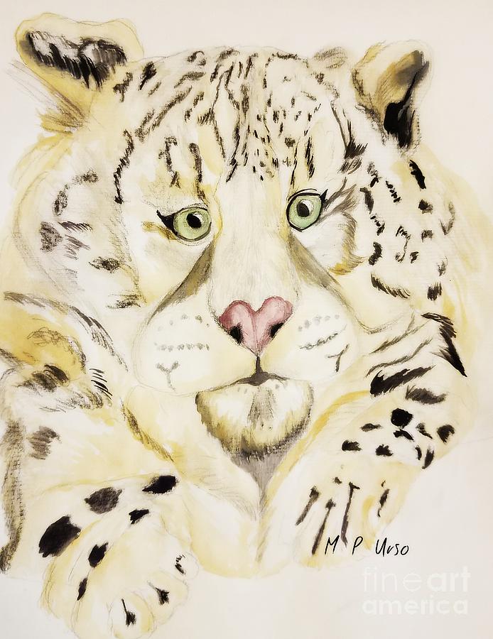 Snow Leopard  Mixed Media by Maria Urso