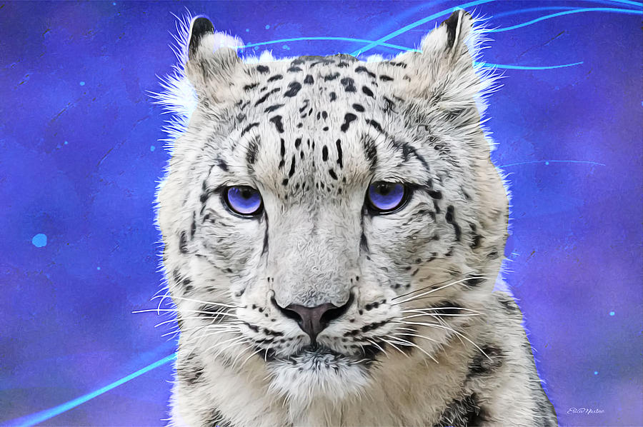 https://images.fineartamerica.com/images/artworkimages/mediumlarge/1/snow-leopard-painted-ericamaxine-price.jpg