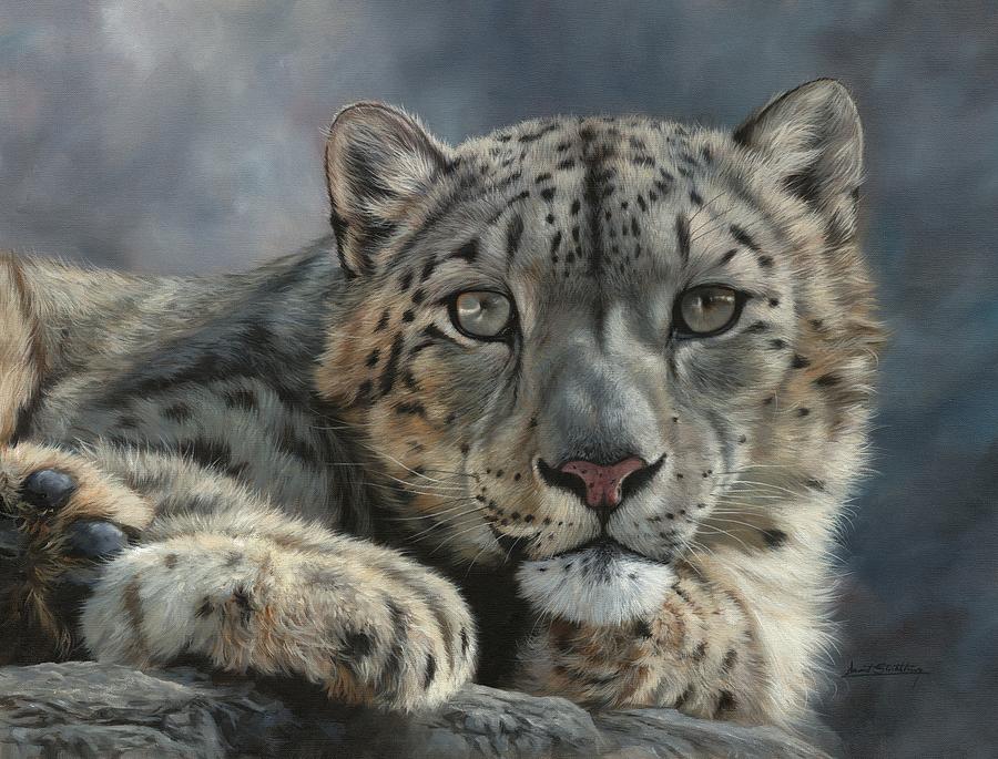 Snow Leopard Portrait Painting by David Stribbling