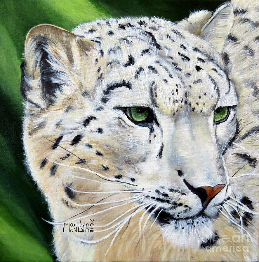 Snow Leopard Portrait Painting by Marilyn McNish