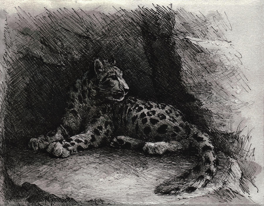 Fantasy Drawing - Snow Leopard by William Russell Nowicki
