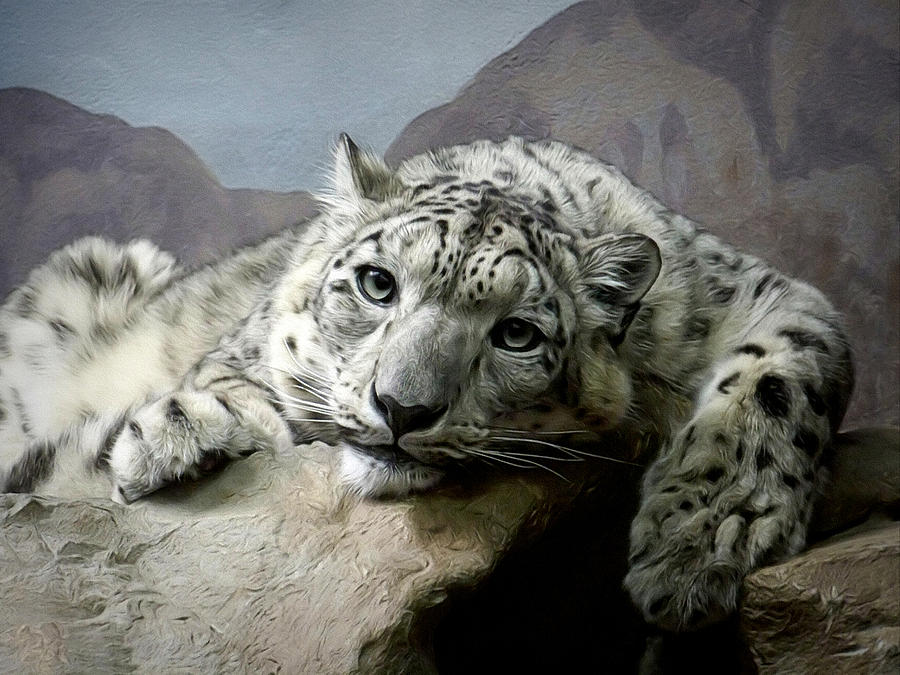 Animal Digital Art - Snow Leopard Relaxing Digital Art by Ernest Echols