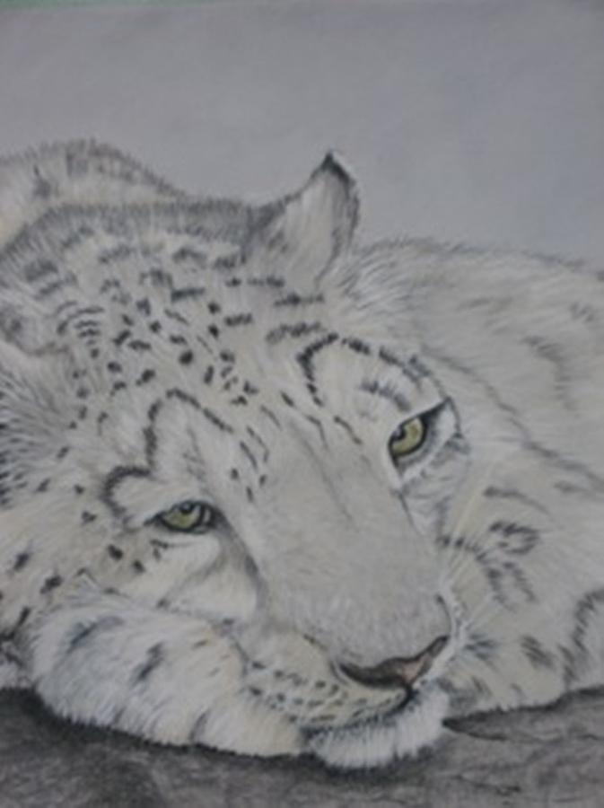 Snow Leopard Mixed Media by Sheila Banga