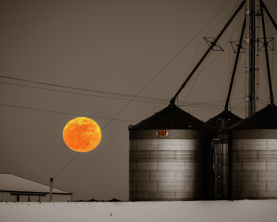 Snow Moon Rising Photograph by William Christiansen