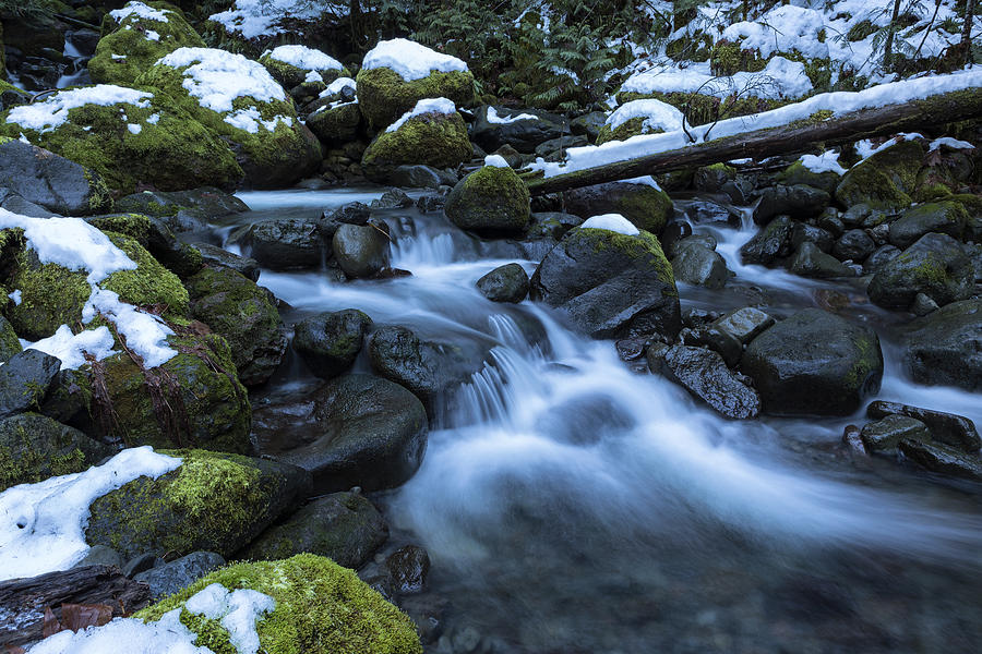 Snow, Moss, Water Over Rocks Photograph by Belinda Greb