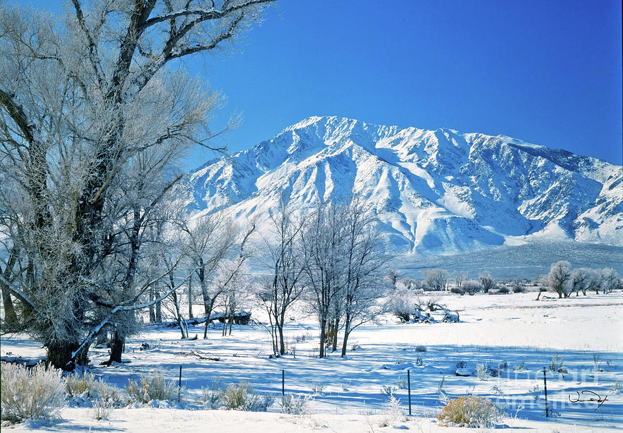 Snow Near California Photograph by Vance Fox