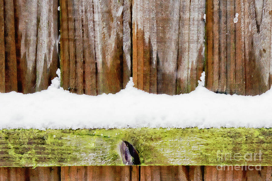 Snow on a fence Photograph by Tom Gowanlock