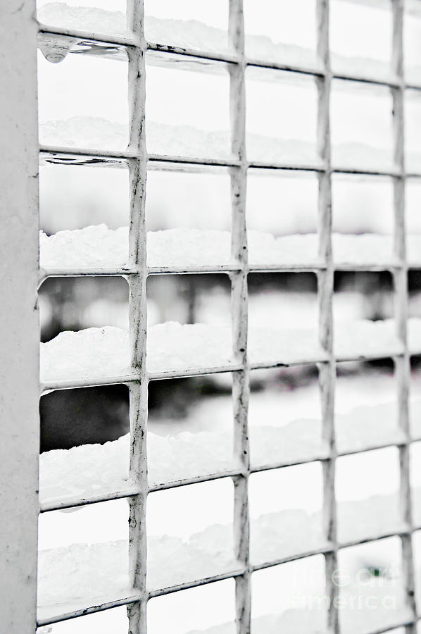Snow on a metal fence Photograph by Tom Gowanlock