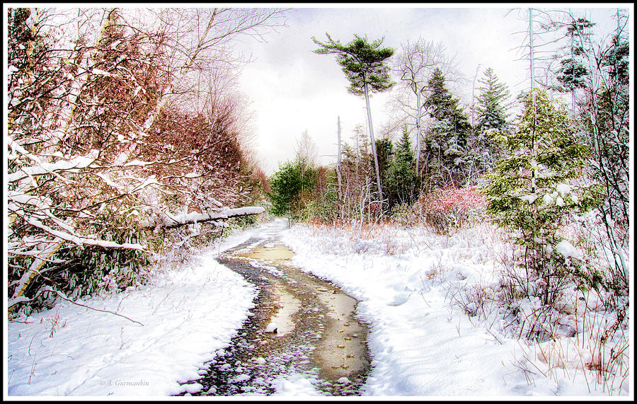 Snow on a Mountain Back Road Photograph by A Macarthur Gurmankin