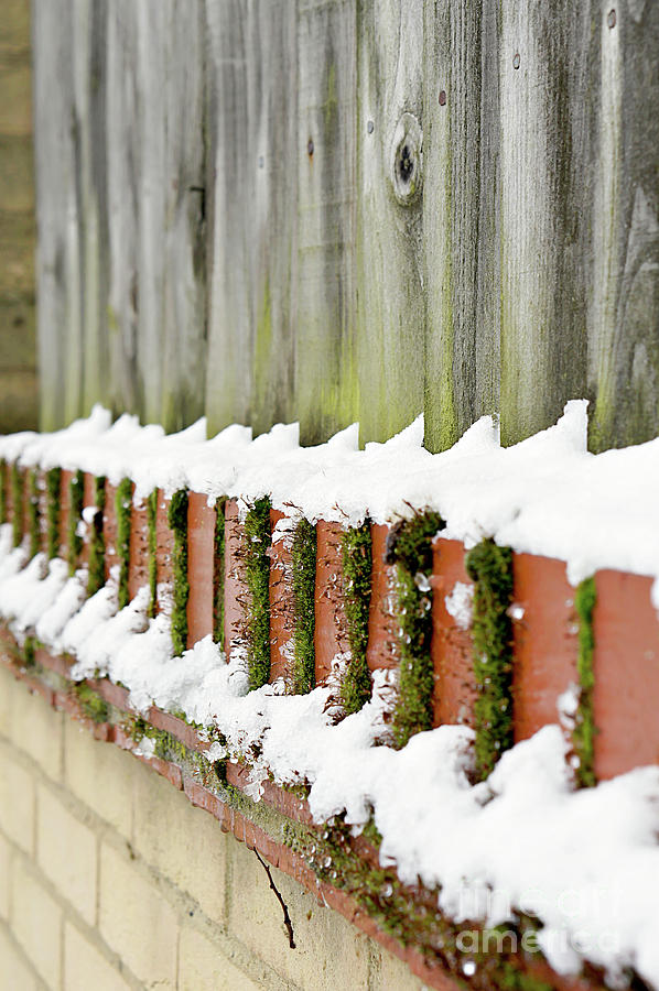 Snow on a wall  Photograph by Tom Gowanlock