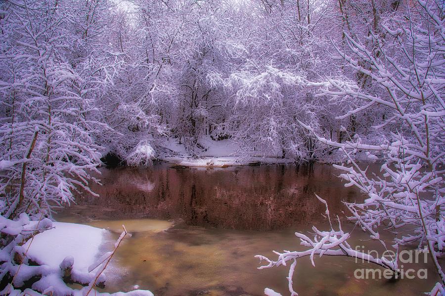 Snow on Golden Pond Photograph by John Fabina