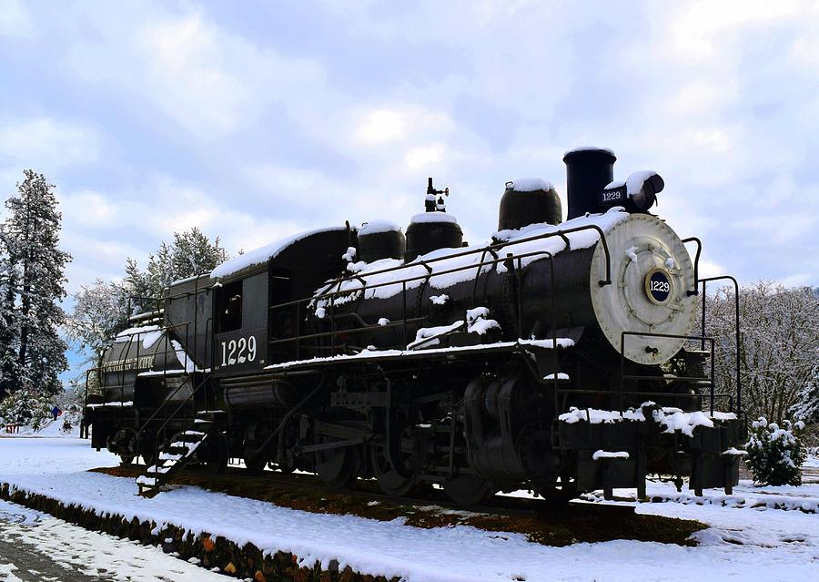 Snow on Locomotive - Engine 1229 Photograph by Michele Avanti
