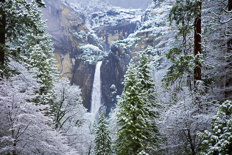 Snow on Lower Yosemite Falls Photograph by Gregory Scott