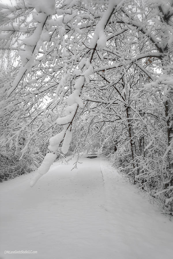 Snow on Macomb Orchard Trail Photograph by LeeAnn McLaneGoetz McLaneGoetzStudioLLCcom