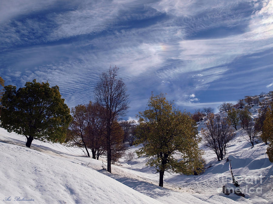 Winter Photograph - Snow on Mount Hermon by Arik Baltinester