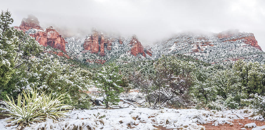Snow On Red Rock Photograph by Racheal Christian