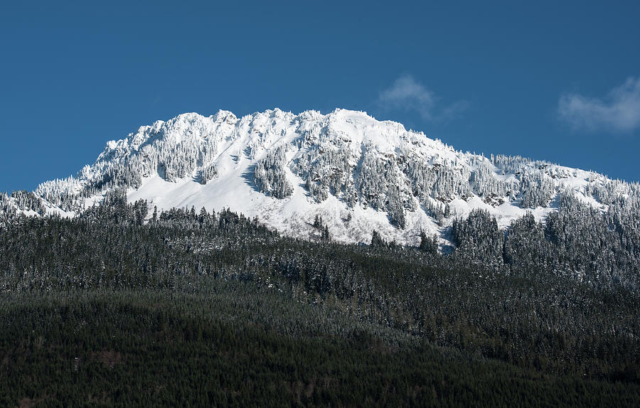 Snow on Sauk Mountain Photograph by Tom Cochran