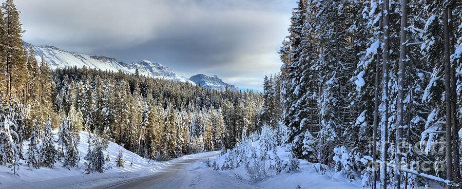 Snow On The Bow Valley Parkway Photograph by Adam Jewell