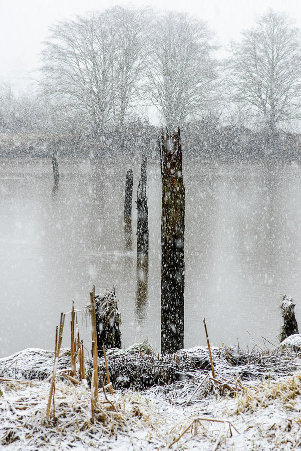 Snow on the Estuary Photograph by Robert Potts