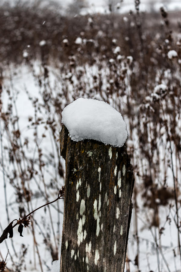 Snow on the Fence Post Photograph by Jay Stockhaus