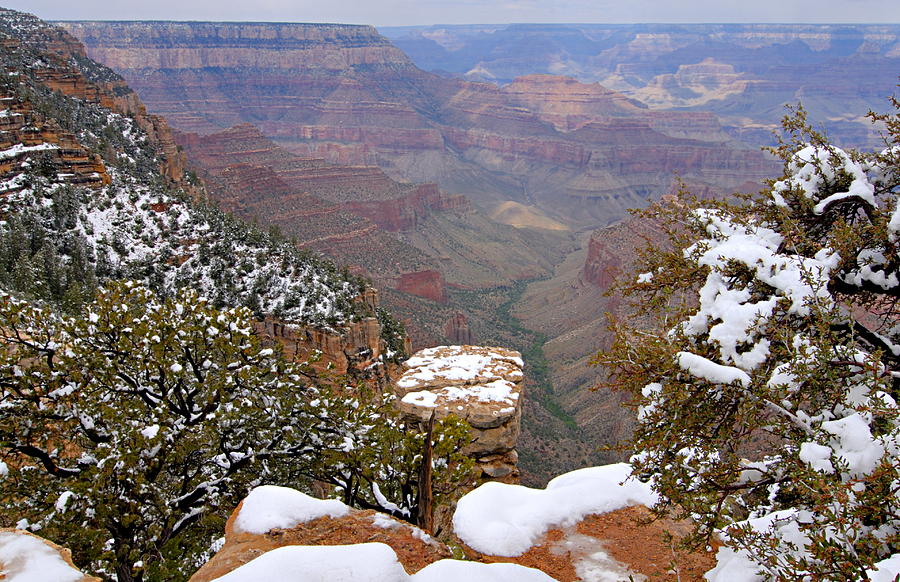 Snow on the Grand Canyon Photograph by Larry Ricker