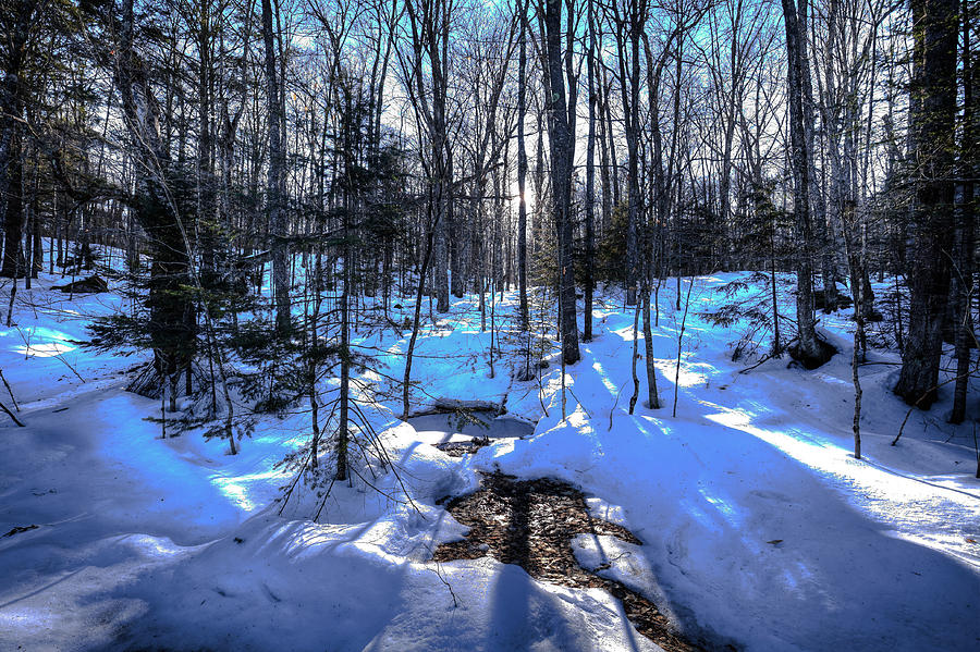 Snow on the Hillside Photograph by David Patterson