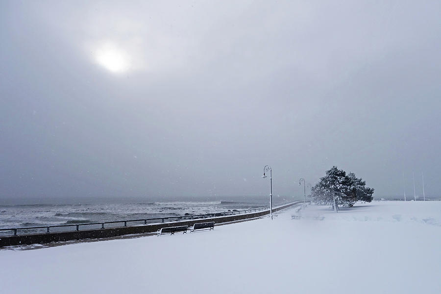 Snow on the Lynn Waterfront Red Rock Park Lynn MA Photograph by Toby McGuire