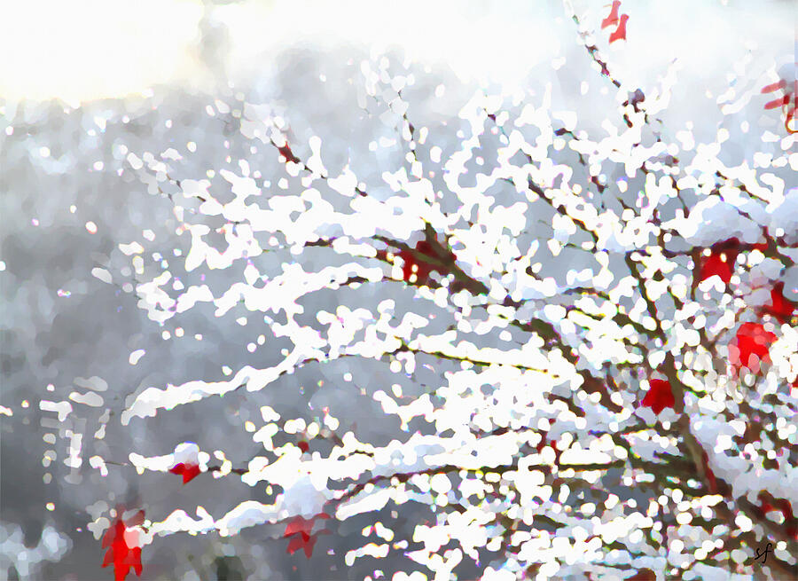 Snow on the Maple Mixed Media by Shelli Fitzpatrick