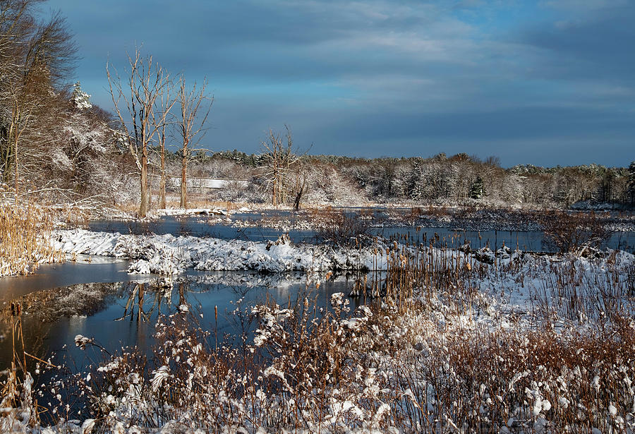 Landscape Photograph - Snow on the Marsh by Betty Denise