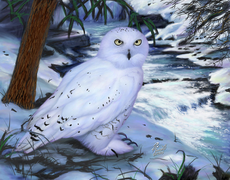 Snow Owl Digital Art by Randy Fawcett - Pixels