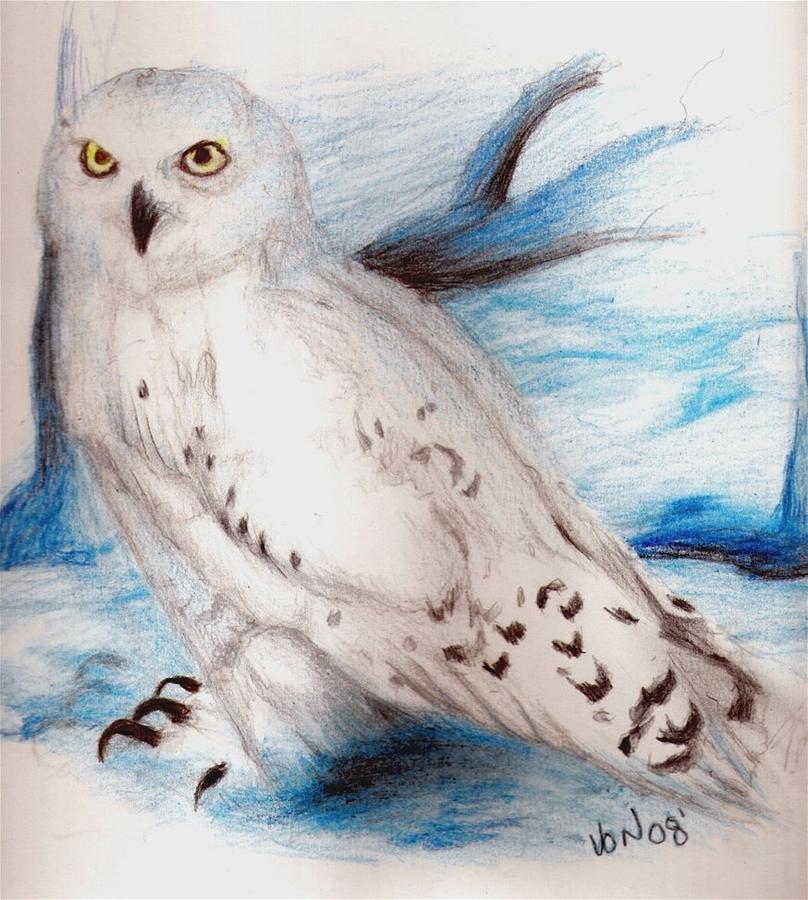 cute snowy owl drawing