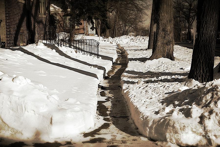 Winter Photograph - Snow Paths and Winter Shadows by Frank J Casella