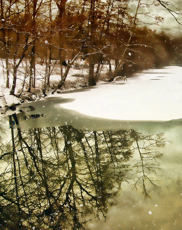 Snowy Pond Photograph by Jessica Jenney