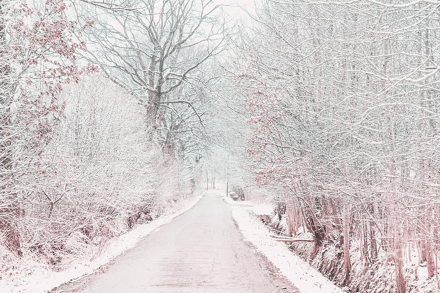 Snow road Photograph by Marina Usmanskaya