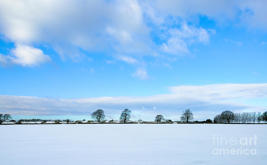 Snow scene Photograph by Colin Rayner